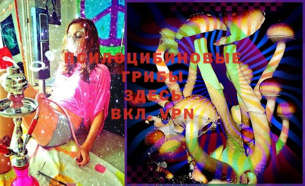 мдма Тайга