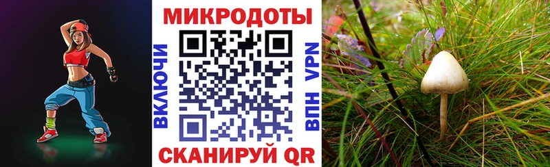 Галлюциногенные грибы Psilocybe  OMG ССЫЛКА  Камбарка 